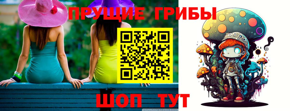 Псилоцибиновые грибы Cubensis  Псилоцибиновые грибы мицелий  Вход с VPN  Находка 