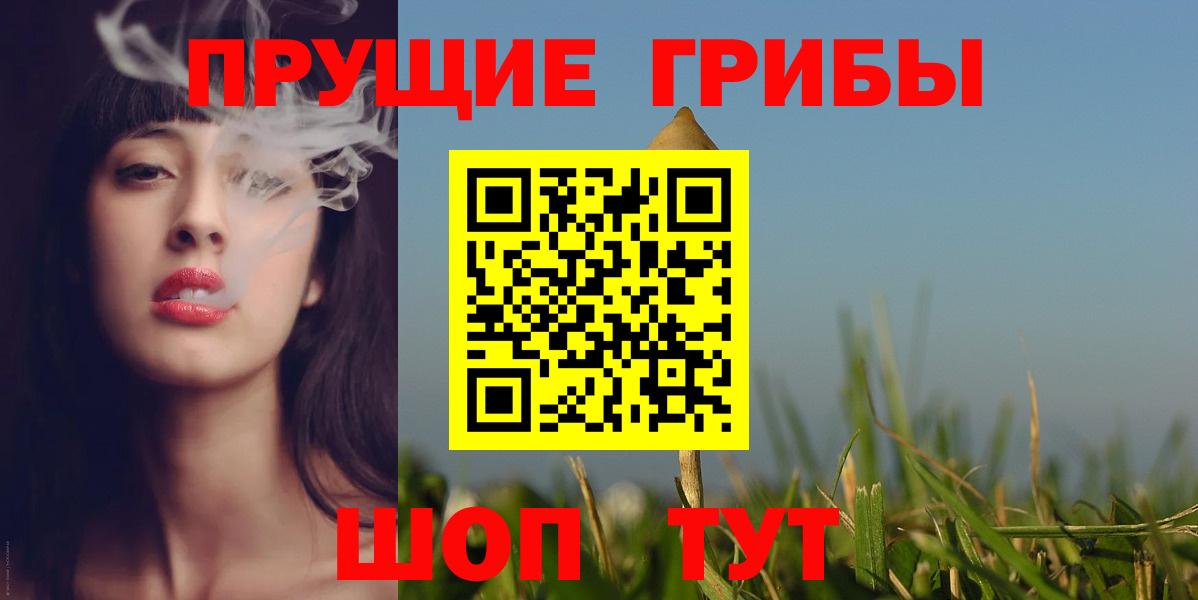 Галлюциногенные грибы Psilocybe Находка